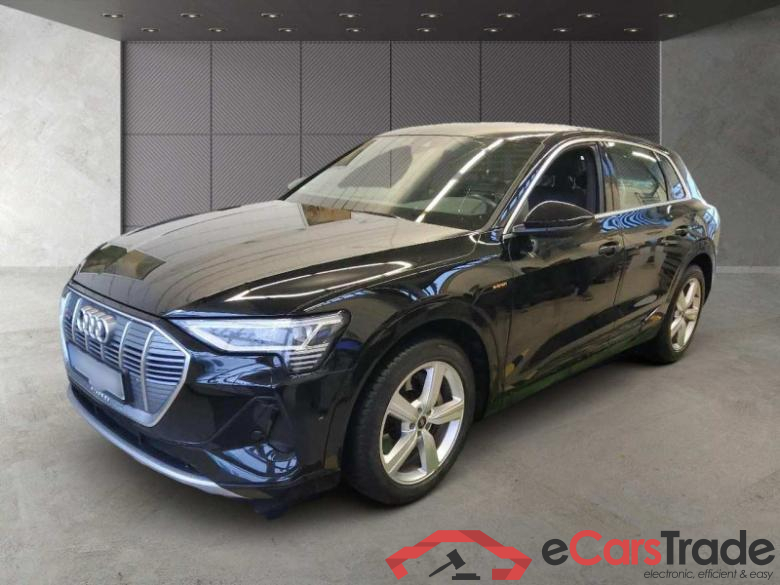 Audi e-tron (GEN)(01.2019->) DE - SUV5 50 quattro, S line, 2019 - 2023