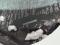 preview Ford Transit Custom #4