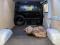 preview Maxus eDeliver 3 #5