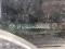 preview Renault Clio #5