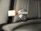 preview Mercedes C-Class #3
