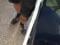preview Renault Trafic #0