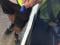 preview Renault Trafic #1