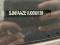 preview Nissan Leaf #5