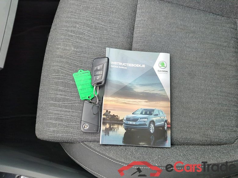 SKODA Karoq 81 kW #6