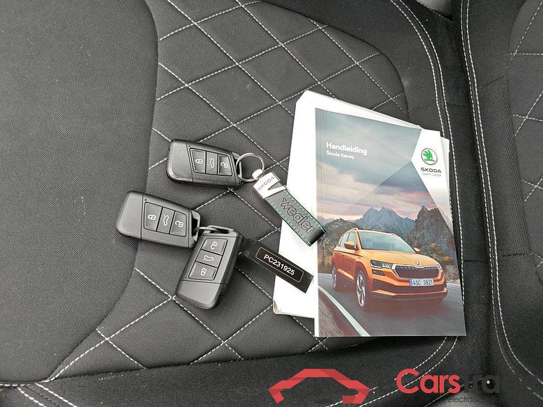 SKODA Karoq 110 kW #6