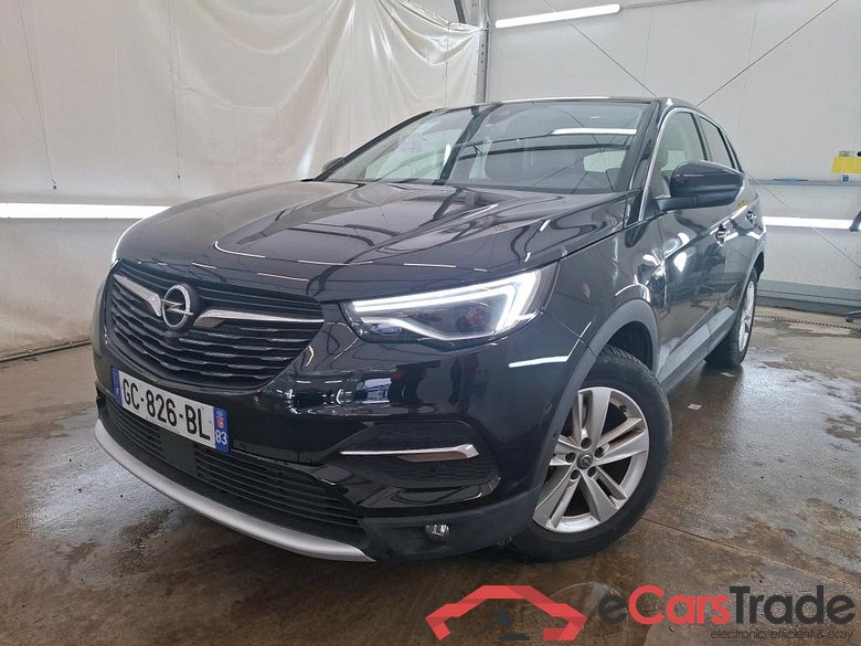 Grandland X Elegance Business 1.5 130CV BVA8 E6d #1