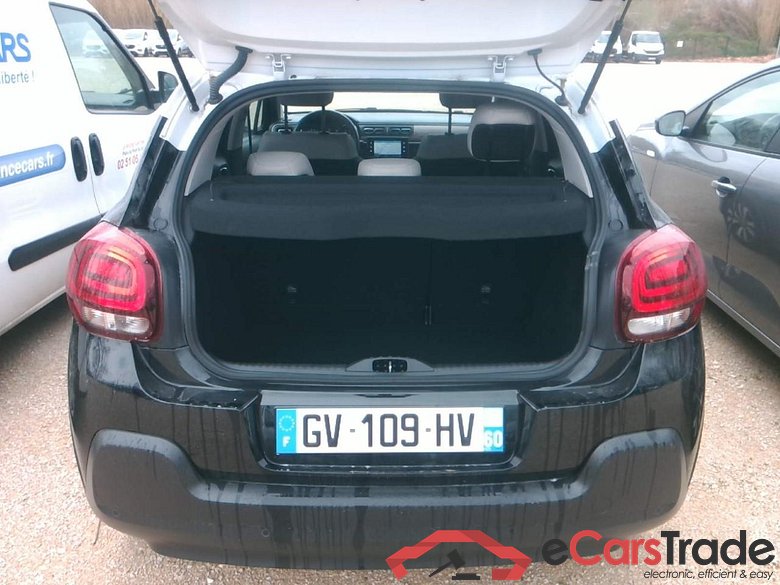 C3 B6 MAX PURETECH 110 SS BVM RSK chtx #6