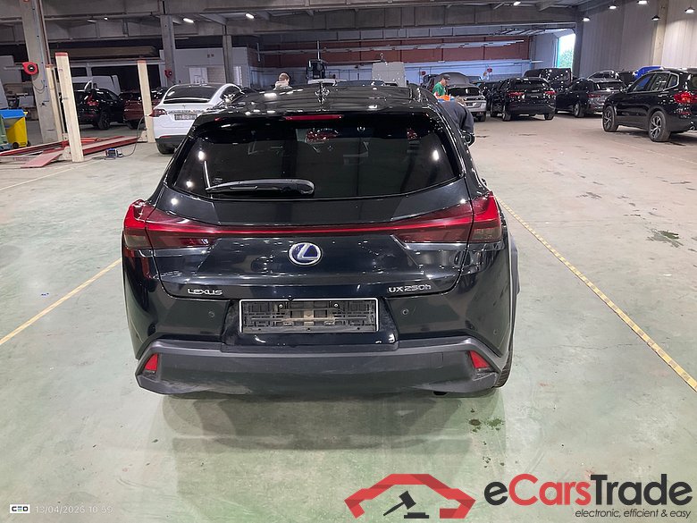 LEXUS UX 2.0 250H BLACK LINE #5