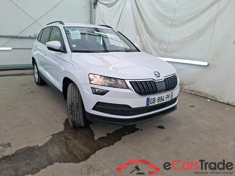 Karoq Business 2.0 TDI 115CV BVA7 E6d #4