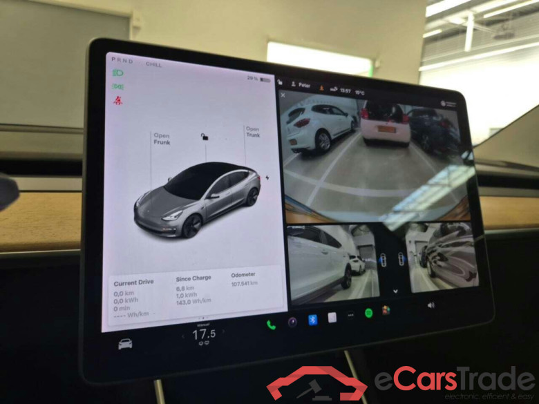 Tesla Model 3 Stnd.RWD Plus 60 kWh #6