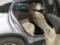 preview Mercedes GLC 300 #4