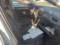 preview Volkswagen T-Roc #5