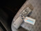 preview Volkswagen T-Cross #5