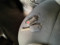 preview Fiat Panda #5