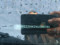 preview Volkswagen Polo #1