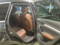 preview Audi Q5 #4